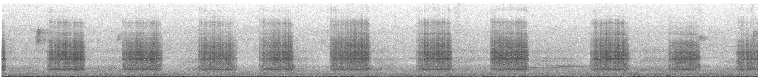 Baudin's Black-Cockatoo - ML643074858