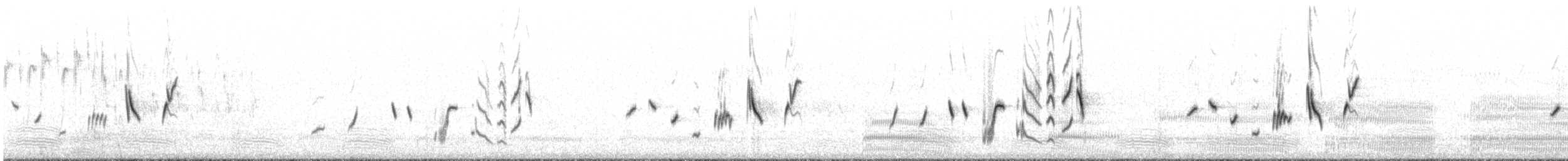 Striated Fieldwren - ML643075620