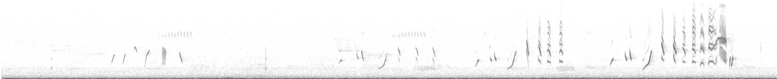 Striated Fieldwren - ML643075870