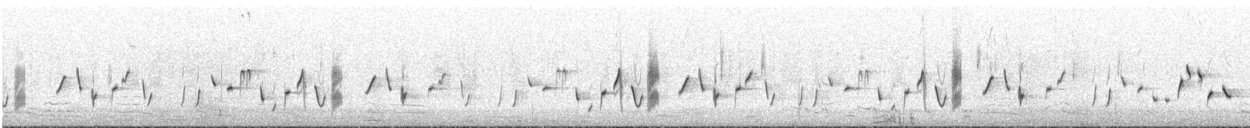 Striated Fieldwren - ML643075931