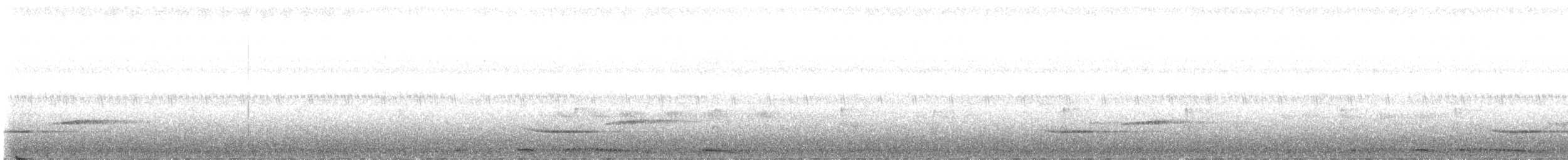 Square-tailed Drongo-Cuckoo - ML643076026
