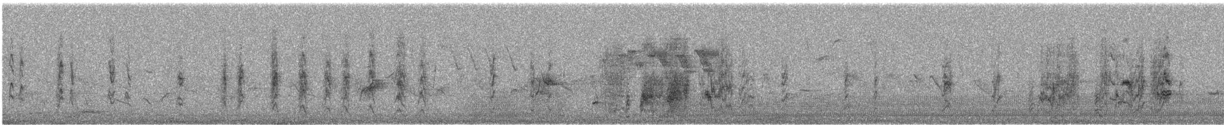 Cape Sugarbird - ML643076029