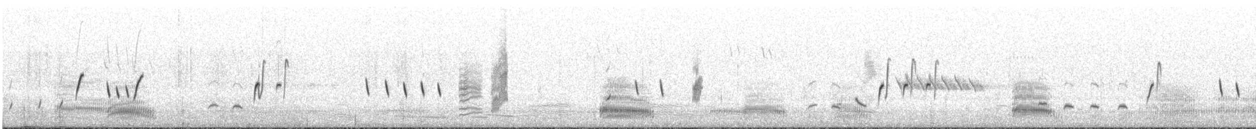 Striated Fieldwren - ML643076085