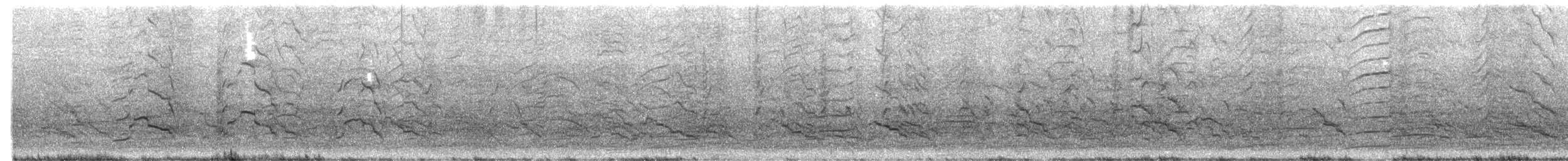 black-cockatoo sp. - ML643076843