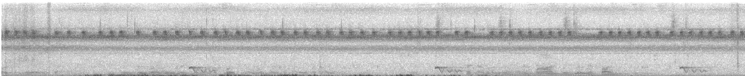 Jerdon's Nightjar - ML643076907