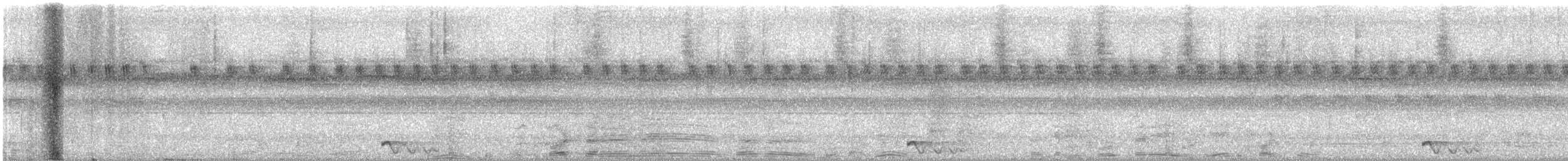 Jerdon's Nightjar - ML643076908