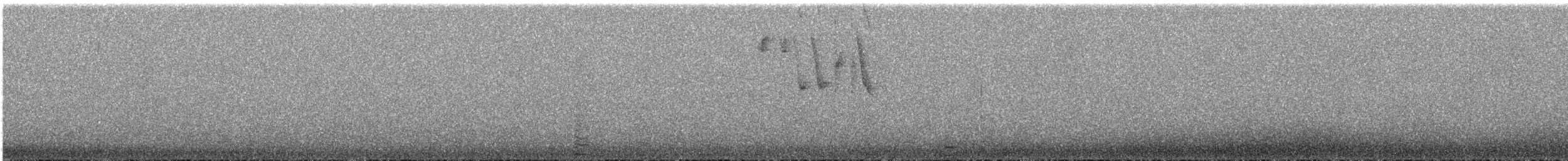 Bronze-tailed Comet - ML643077447