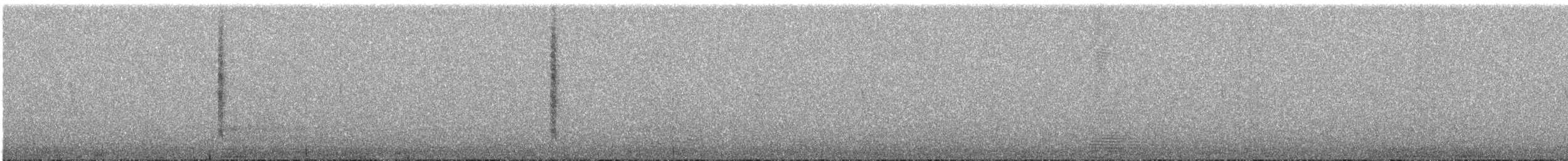 Bronze-tailed Comet - ML643077448