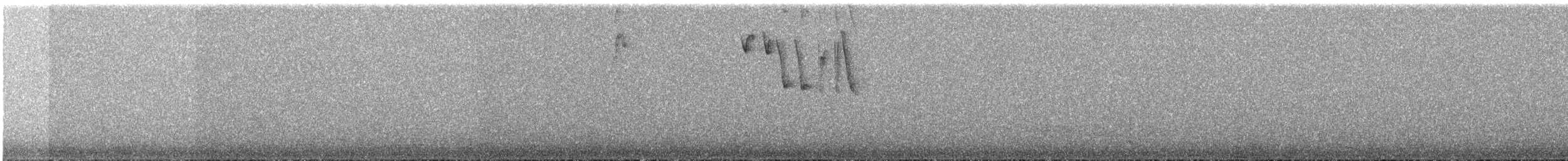 Bronze-tailed Comet - ML643077450