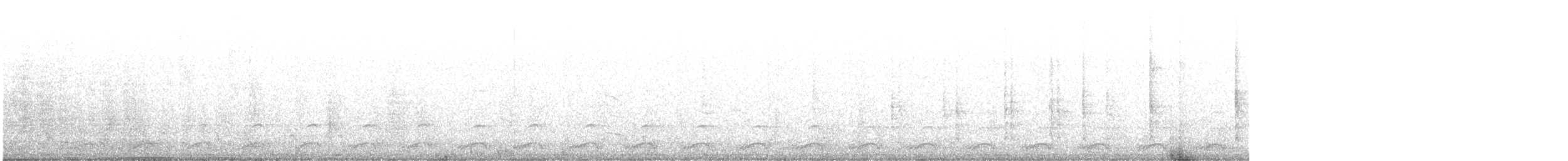 Goéland d'Audubon - ML643079109