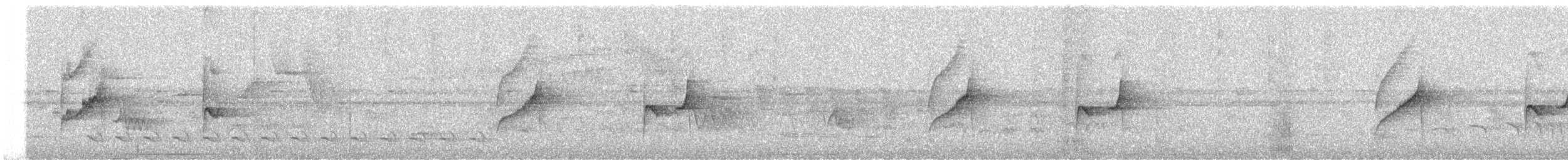 Gray-bellied Spinetail - ML643082415