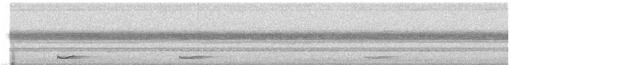 Short-tailed Nighthawk - ML643082588