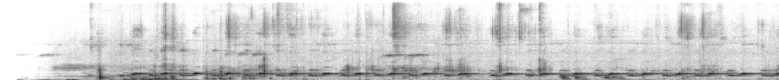 Tocro à face noire - ML643083324