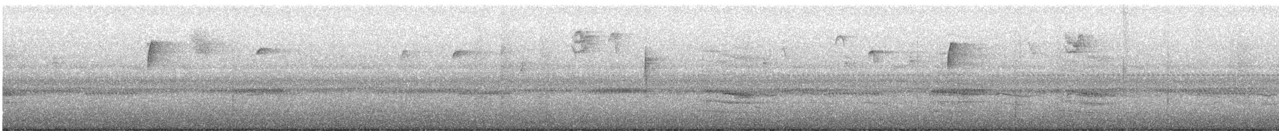 passerine sp. - ML643083378