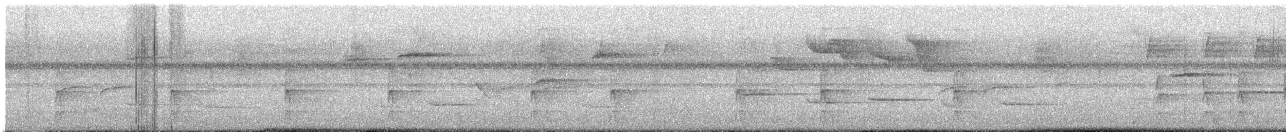 Nightingale Wren - ML643083408