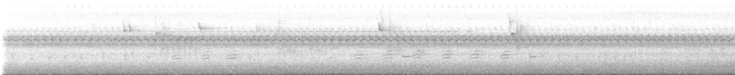 Sittelle à poitrine rousse - ML643083891