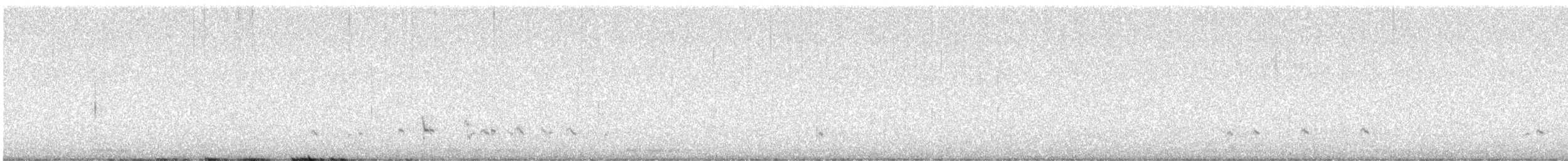 Black-bellied Plover - ML643084287