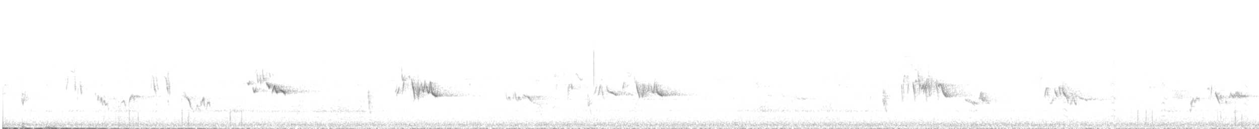 Townsend's Solitaire - ML643086639