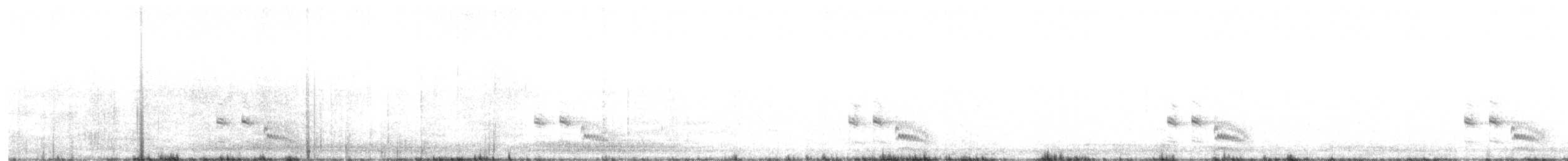 Polluela Negruzca - ML643086710