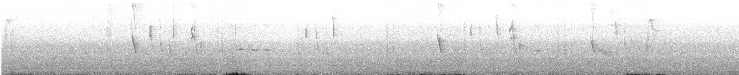 White-vented Euphonia - ML643087930