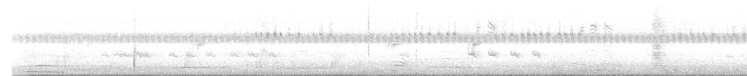 Spotted Dove - ML643088175