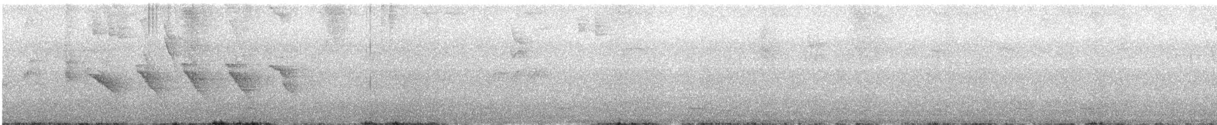 Russet Antshrike - ML643089839