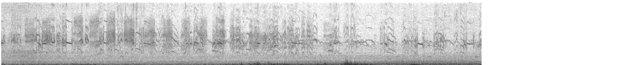 Antillenseeschwalbe - ML643091660