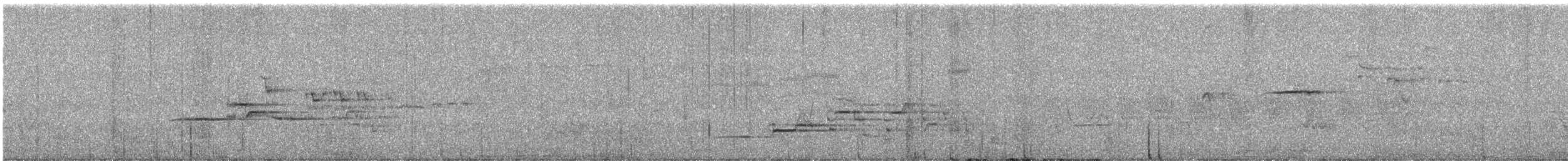 Hermit Thrush - ML643092332