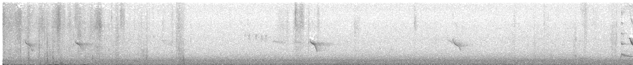 Evening Grosbeak (Northwestern or type 1) - ML643092563