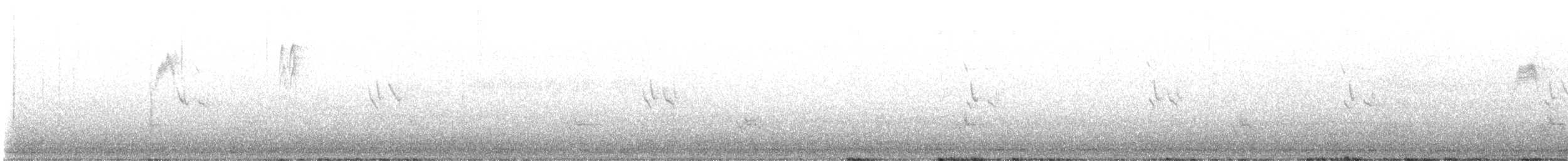 bird sp. - ML643093752