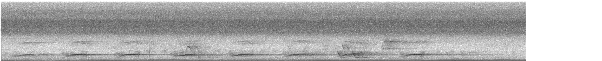 Channel-billed Cuckoo - ML643096736
