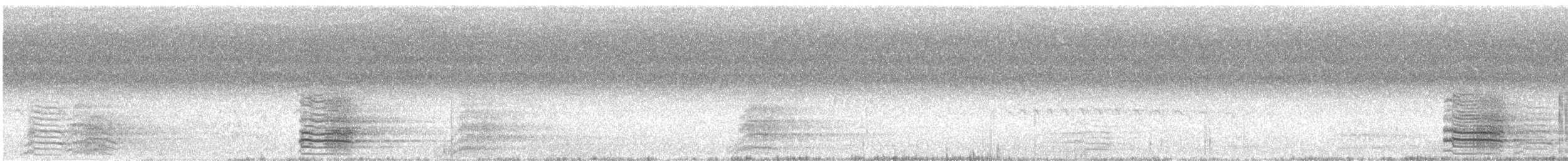 Red-tailed Black-Cockatoo - ML643097887