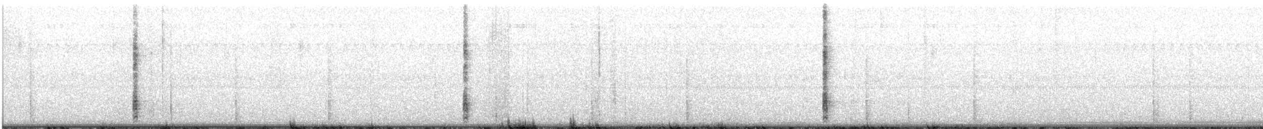 Quiscale des marais - ML643100758