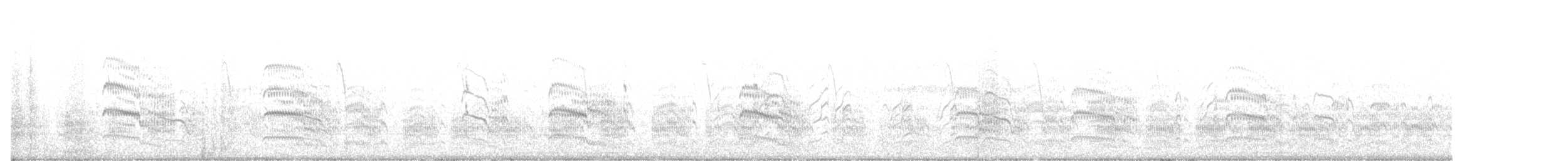 Sterne pierregarin - ML643101690