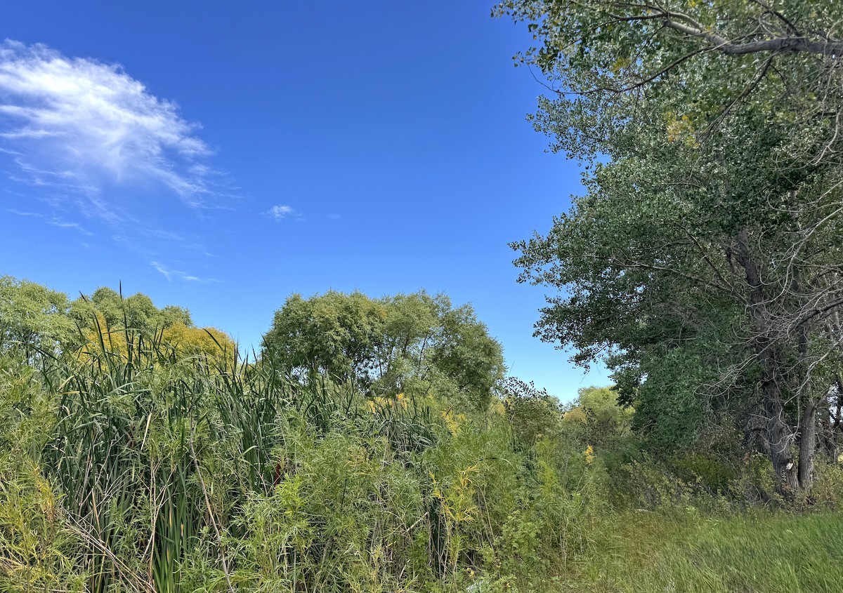 Lodgepole Creek--Pond west of Bushnell - Kimball, Nebraska, US ...