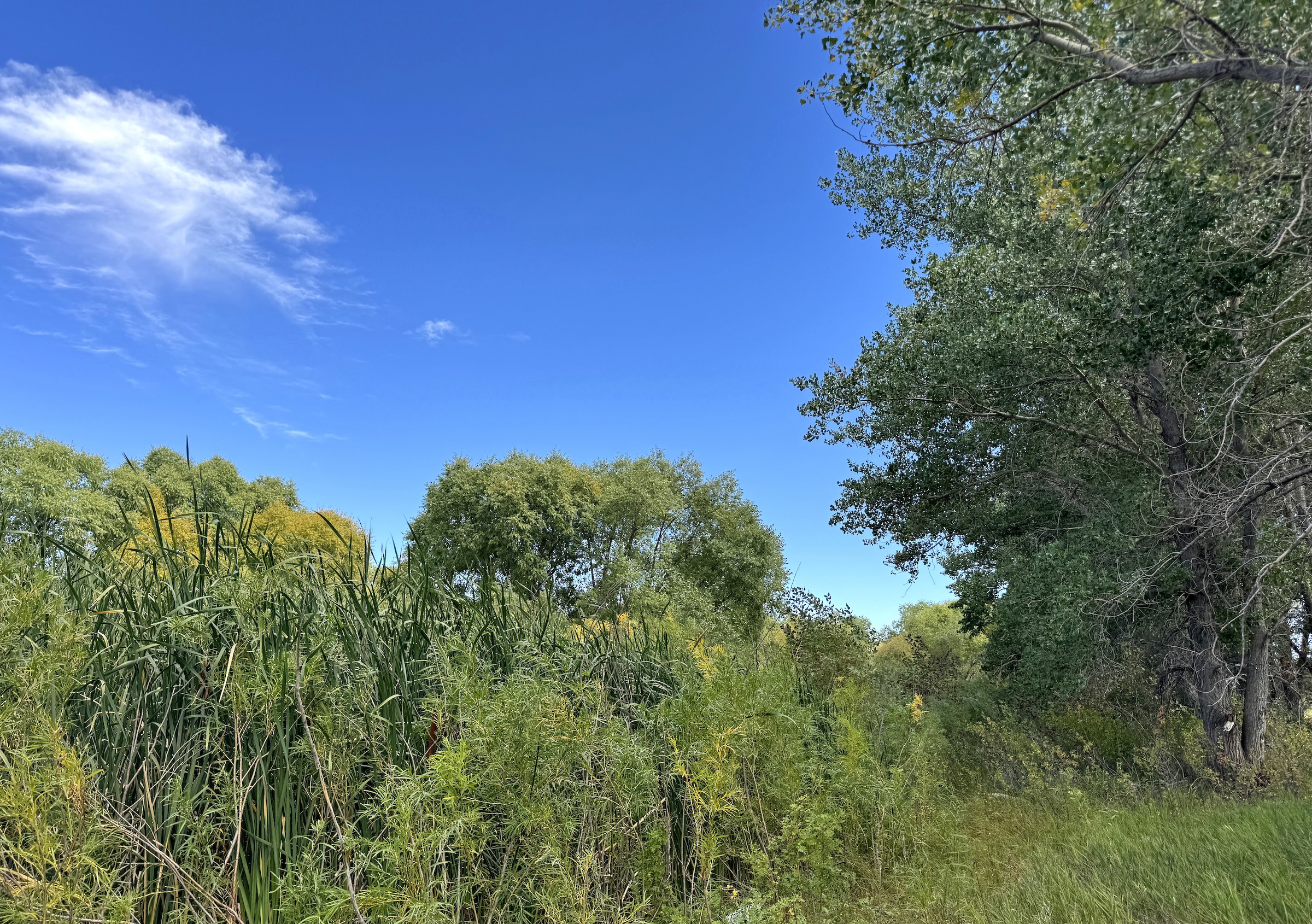 Lodgepole Creek--Pond west of Bushnell - Kimball, Nebraska, US ...