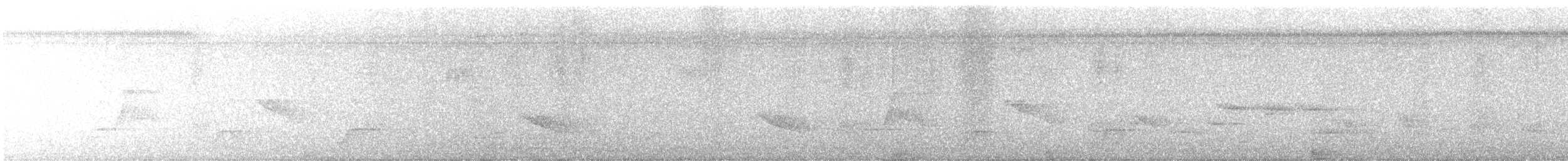 Grimpar à bec ivoire - ML643103524