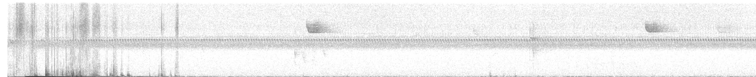hvitstrupespurv - ML643105138