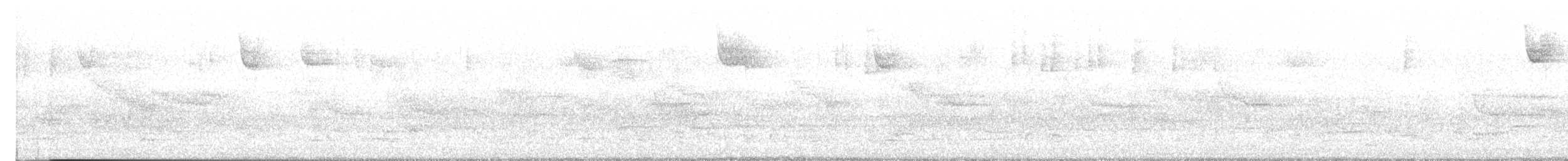 Junco Ojioscuro - ML643105812