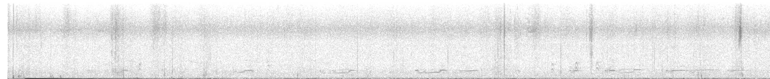 Junco Ojioscuro - ML643106327
