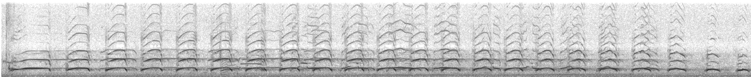 Glaucous-winged Gull - ML643107615