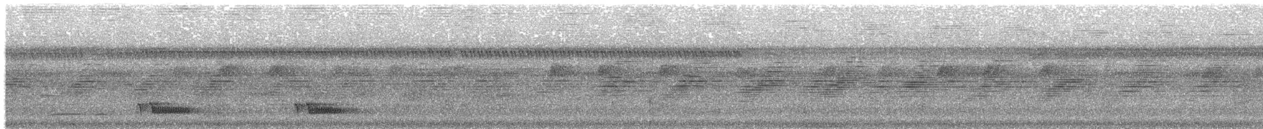 Blue-backed Manakin - ML643108400