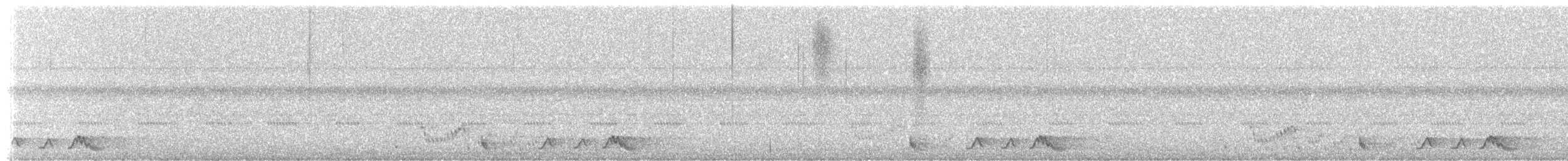 アカヨタカ - ML643109422