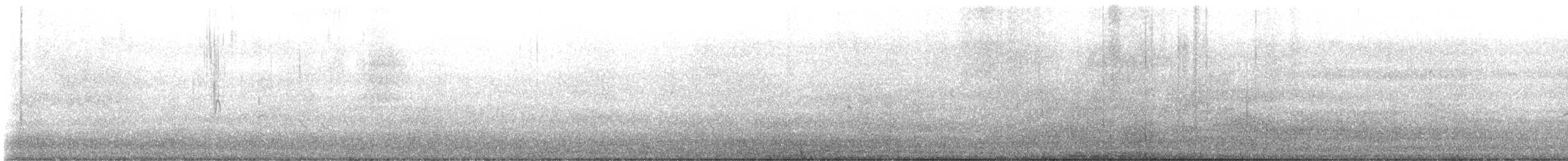 Bécassin à long bec - ML643109516