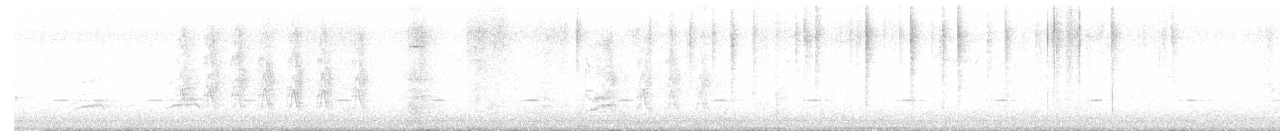 Broad-tailed Hummingbird - ML643110331