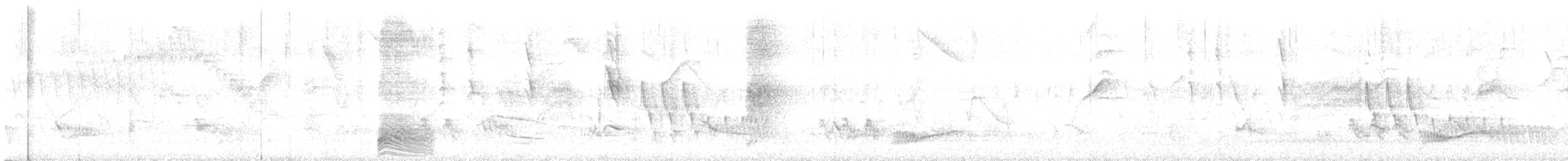 Solitary Black Cacique - ML643110459