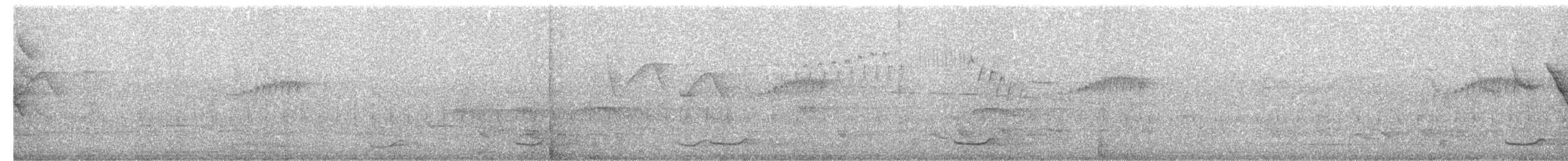 Short-tailed Nighthawk - ML643111558