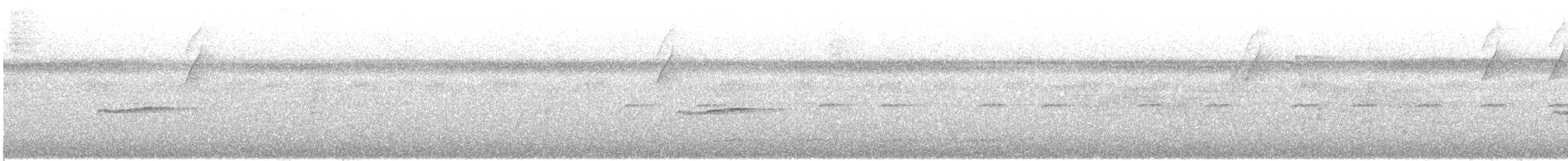 Eastern Wood-Pewee - ML643112937