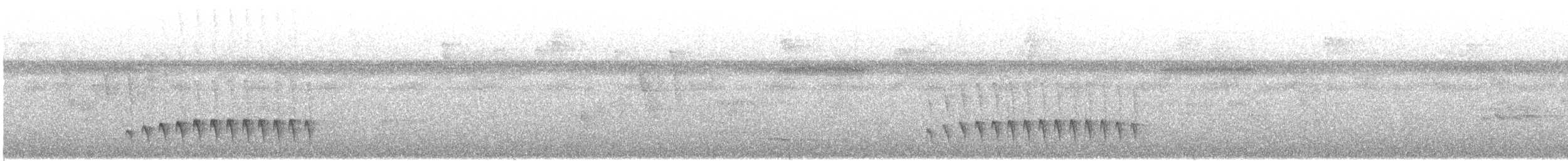 Dusky Antbird - ML643113339