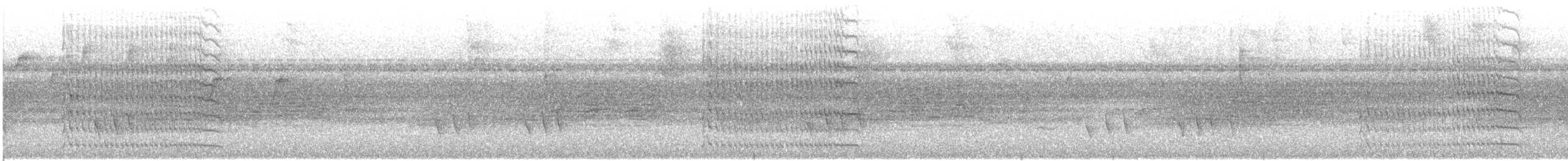 Tyran pitangua - ML643113987